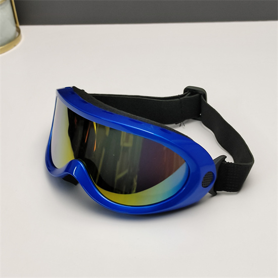 Oakley Ski Goggles 006